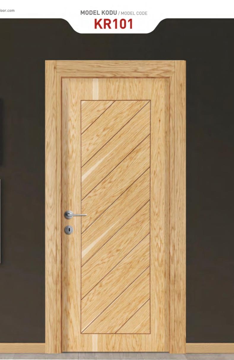 dm31